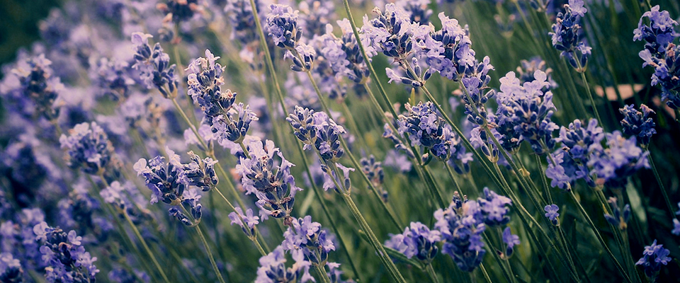 手机号测压平台